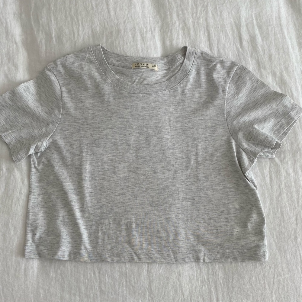 Grey crop t shirt